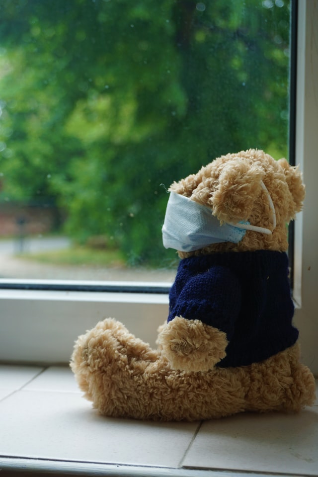 bear with face mask looking out of a window